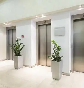 A lobby with two elevators and plants in the center.